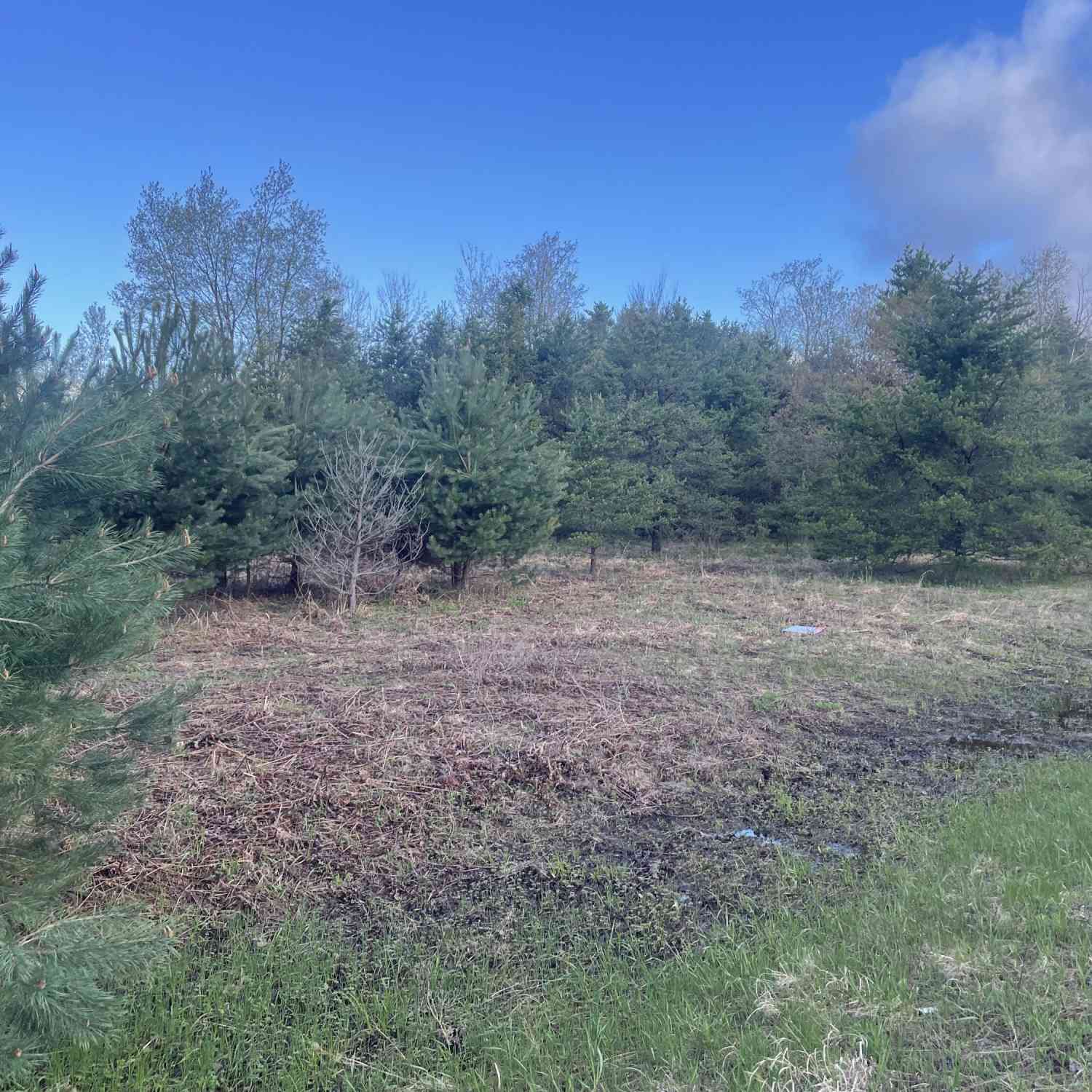 Vacant Land For Sale - 1910 S 132nd Avenue<br/> Shelby, MI 49455