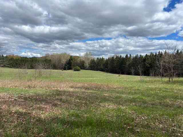 Vacant Land For Sale - 20 Mile Road<br/> Paris, MI 49338