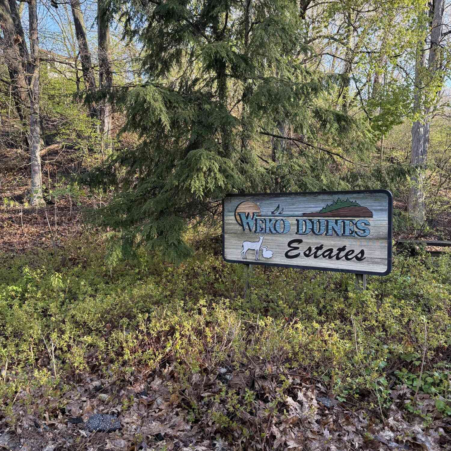Vacant Land For Sale - Kramar Court #7<br/> Bridgman, MI 49106
