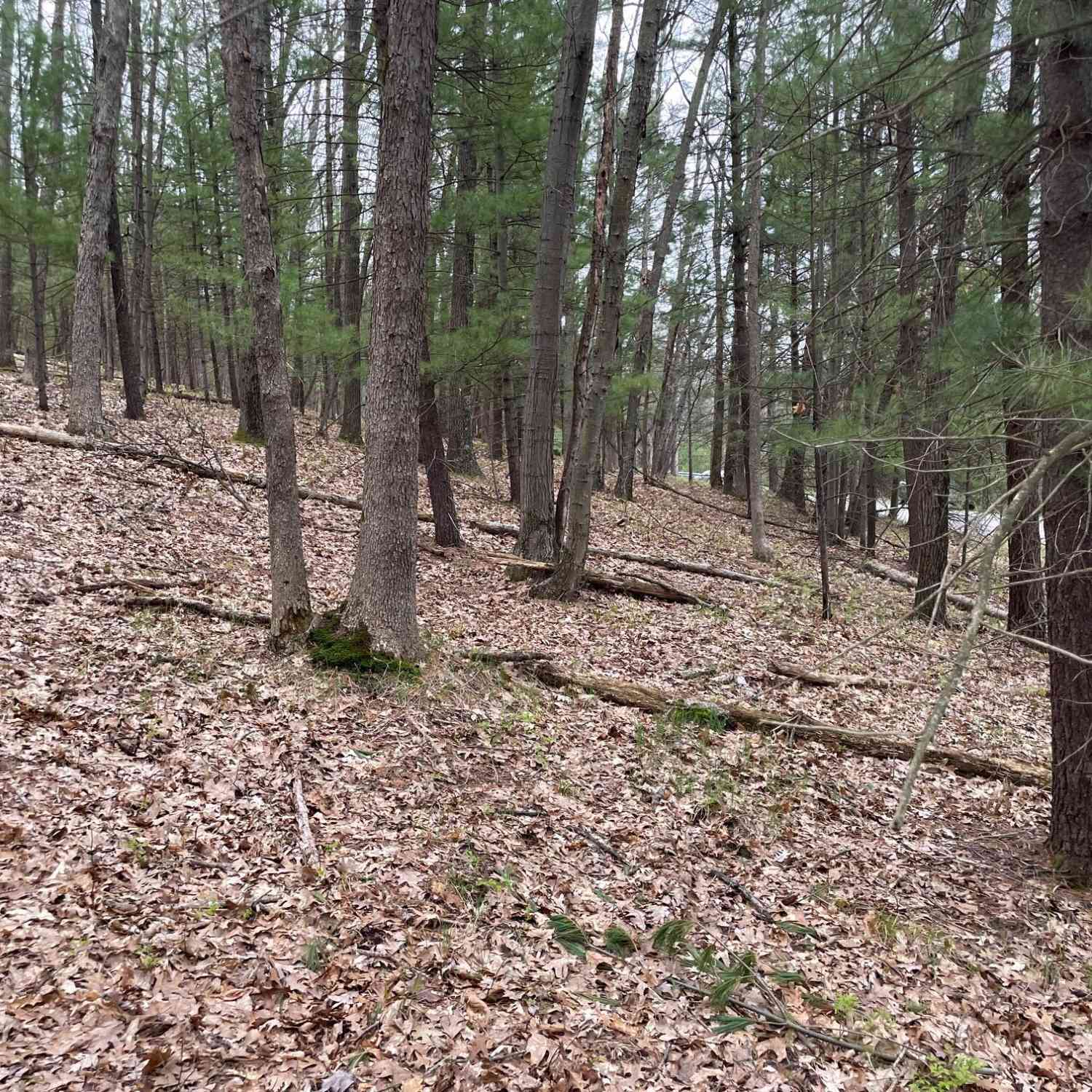 Vacant Land For Sale - PARCEL A Coates Hwy<br/> Brethren, MI 49619
