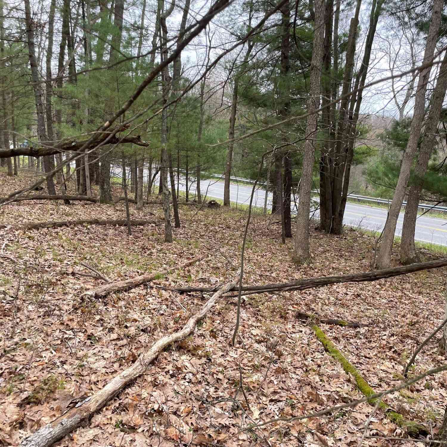 Vacant Land For Sale - PARCEL B Coates Hwy<br/> Brethren, MI 49619