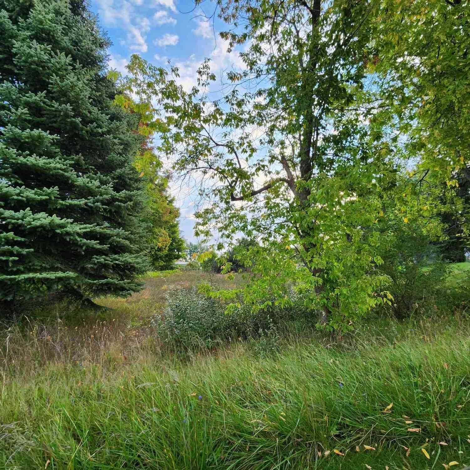 Vacant Land For Sale - N Karen Street<br/> Hart, MI 49420