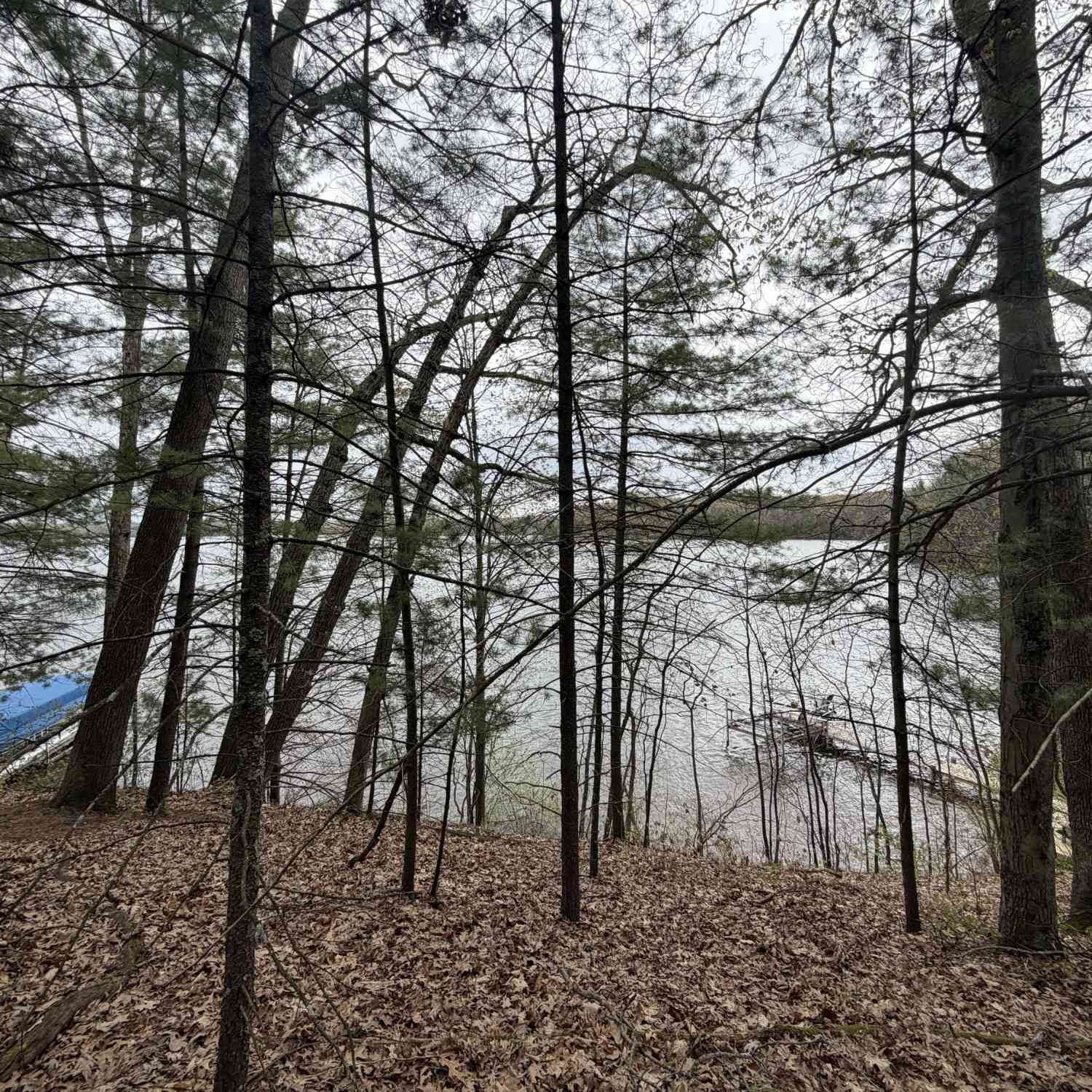 Vacant Land For Sale - Wildwood Drive #9<br/> Allegan, MI 49010