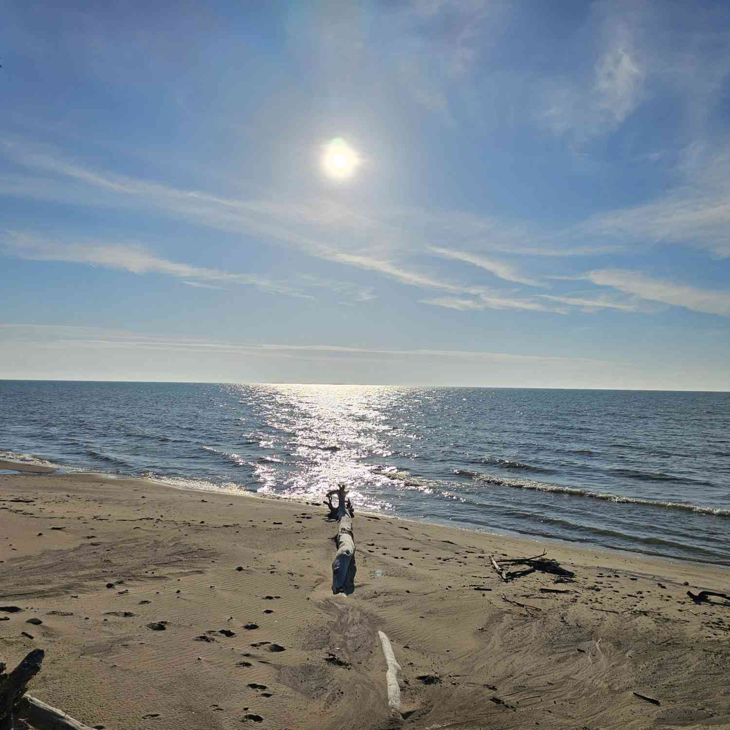 Vacant Land For Sale - N M 63<br/> Benton Harbor, MI 49022