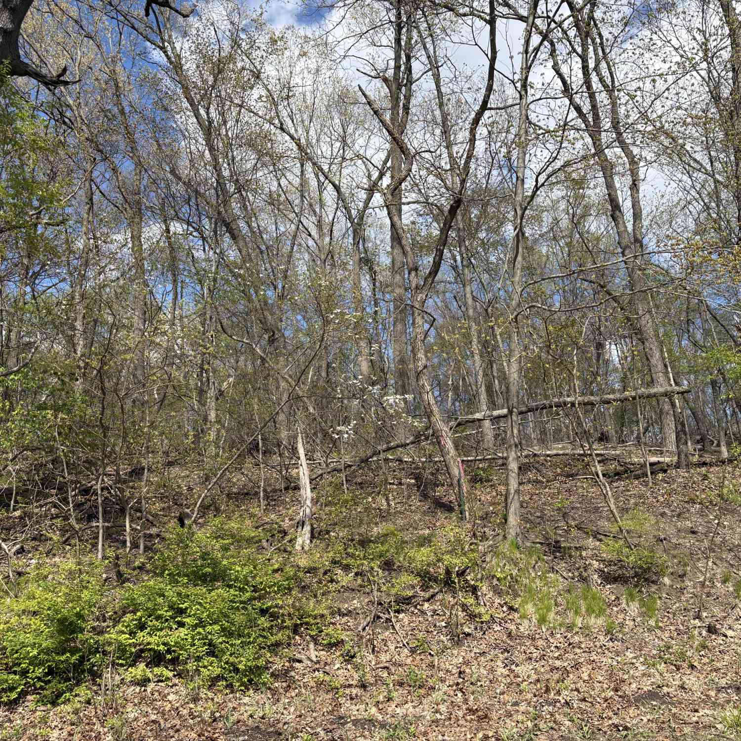 Vacant Land For Sale - V/L Anderson Road<br/> Cassopolis, MI 49031