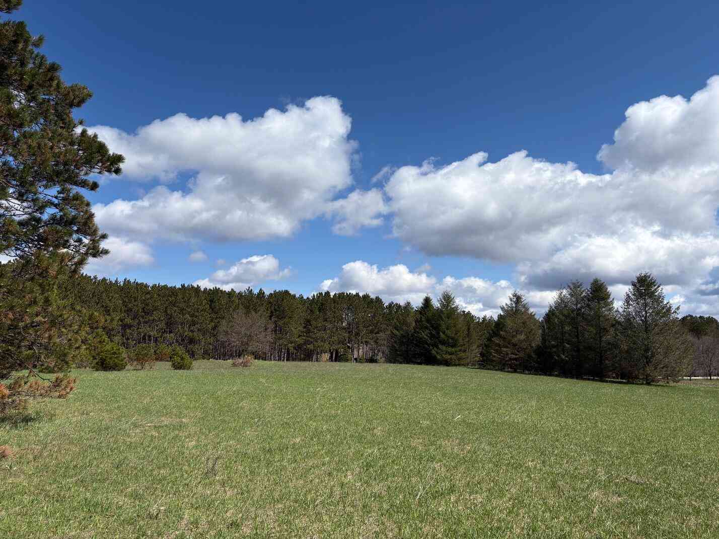 Vacant Land For Sale - V/L Spruce Ridge Road #13<br/> Bear Lake, MI 49614