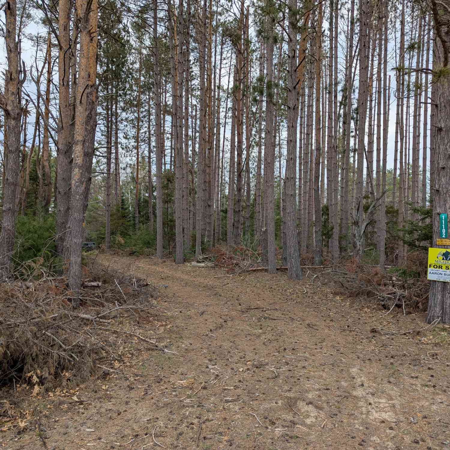 Vacant Land For Sale - 11102 M 32<br/> Atlanta, MI 49709