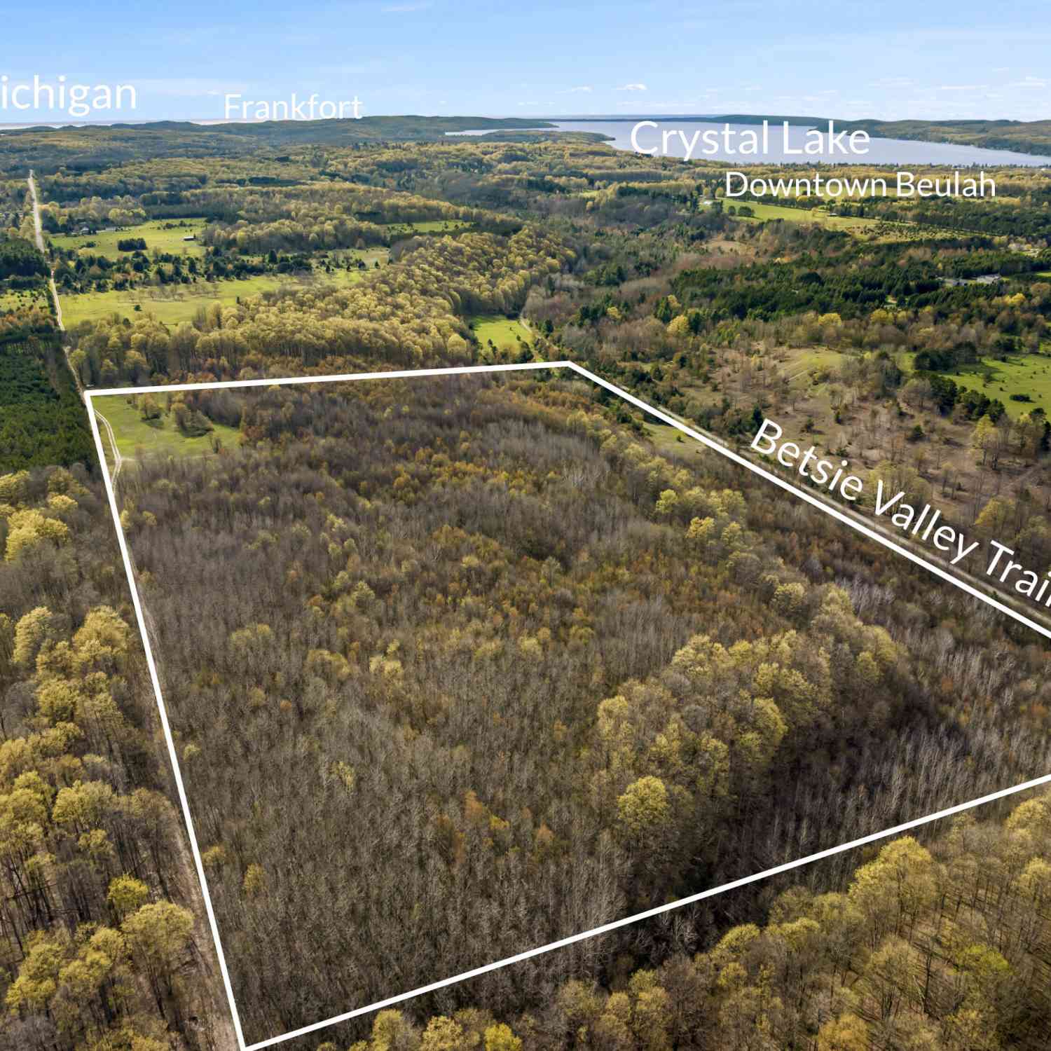 Vacant Land For Sale - Love Road<br/> Benzonia, MI 49616