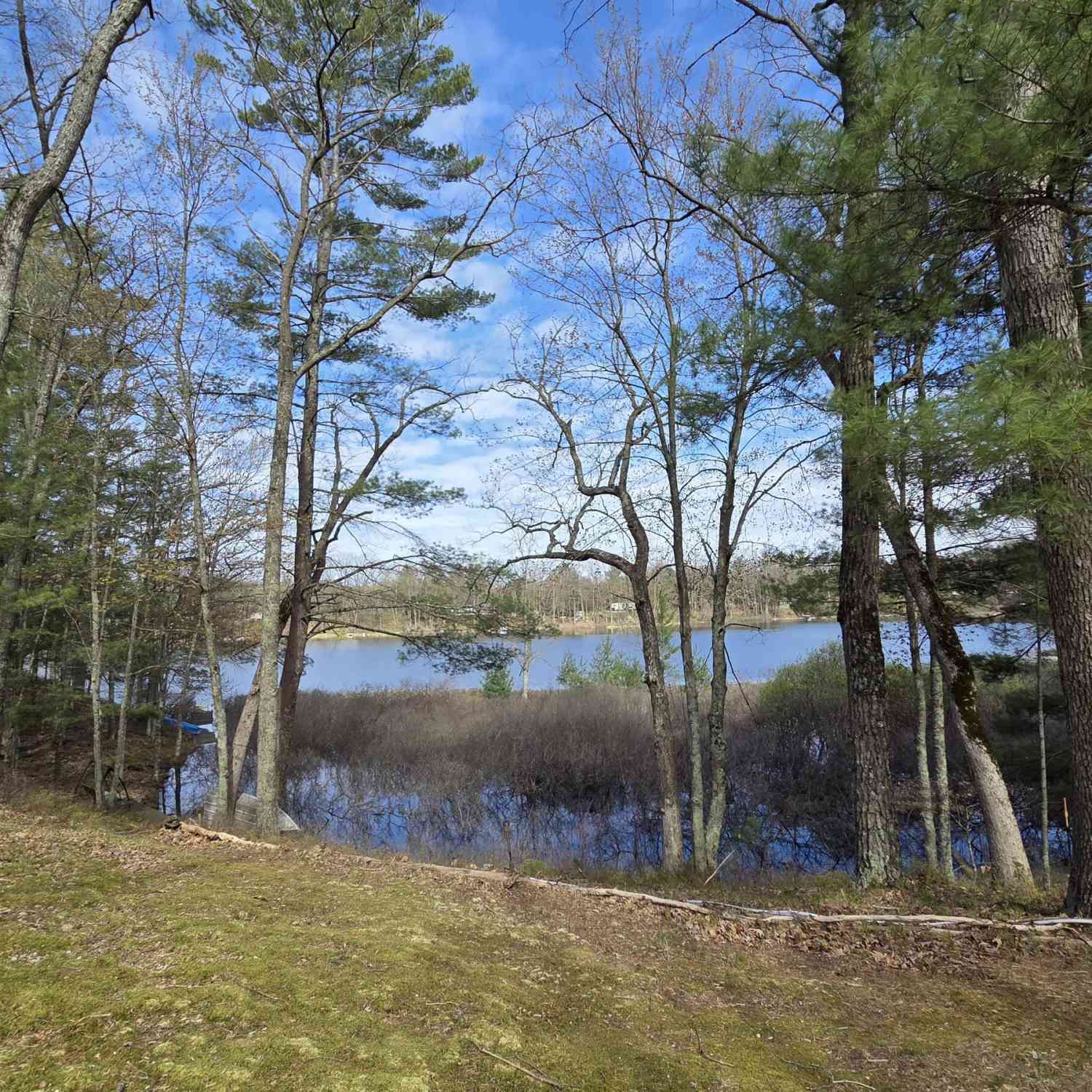 Vacant Land For Sale - 4735 N Alice Lake Drive<br/> Irons, MI 49644