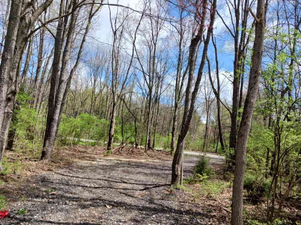 Vacant Land For Sale - 69802 Gumwood Road<br/> Niles, MI 49120