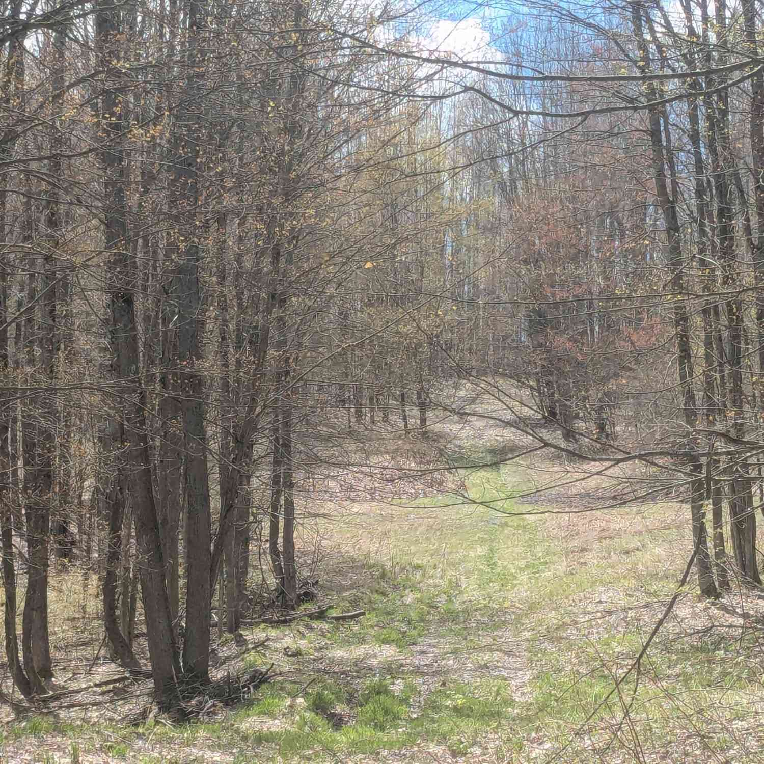 Vacant Land For Sale - 20179 N Coates Highway<br/> Brethren, MI 49619
