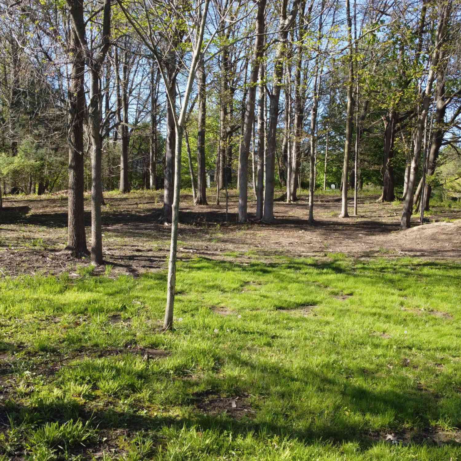 Vacant Land For Sale - Galloway Drive<br/> Manchester, MI 48158