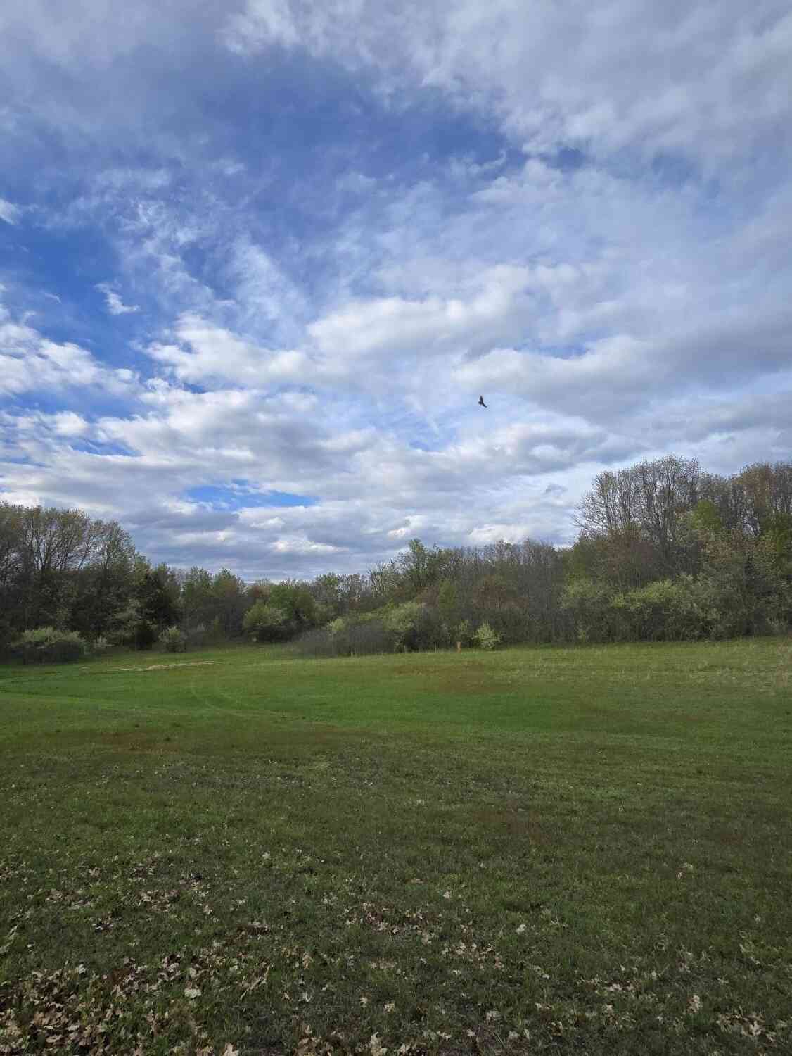 Vacant Land For Sale - 683 Marsh Road<br/> Plainwell, MI 49080