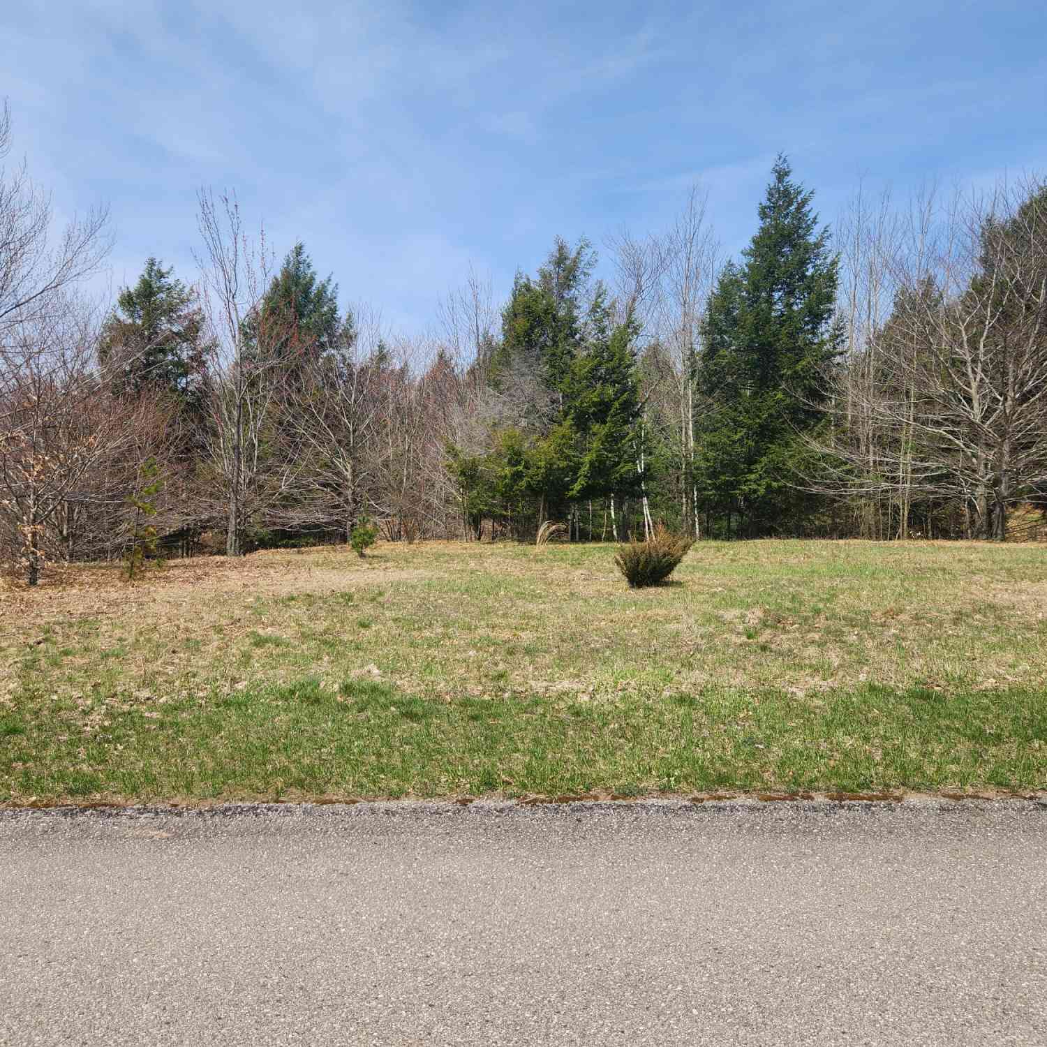 Vacant Land For Sale - N Slope Drive #93<br/> Onekama, MI 49675