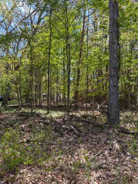 Vacant Land For Sale - 11513 Hillary Drive<br/> Jerome, MI 49249