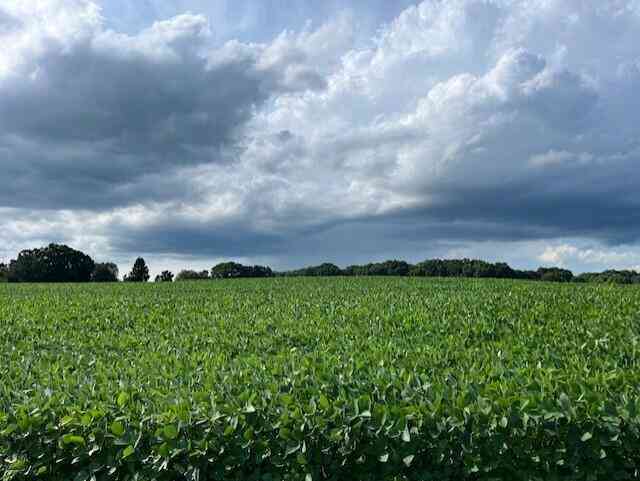 Vacant Land For Sale - 00 Gramer Road<br/> Webberville, MI 48892