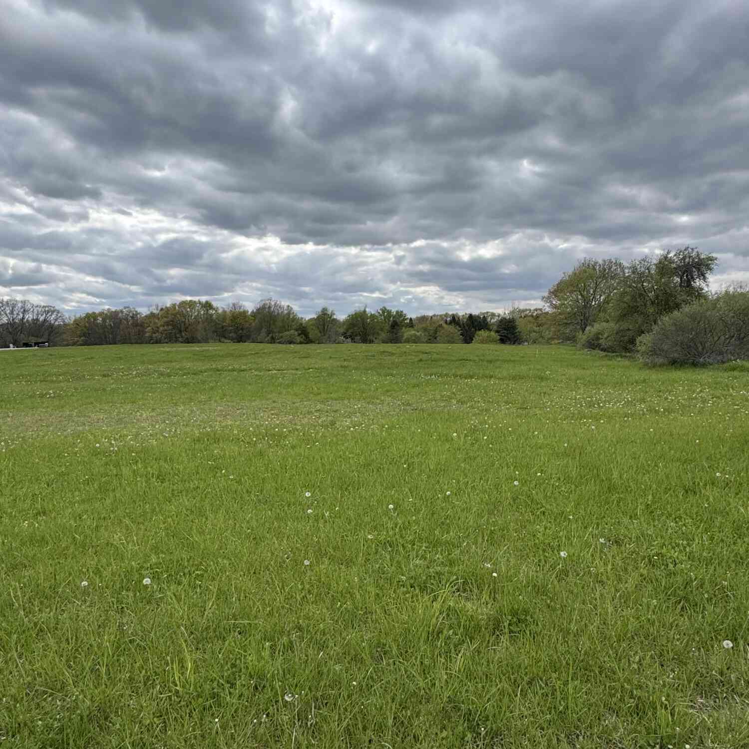 Vacant Land For Sale - 4 Misty Meadow Road<br/> Howell, MI 48843