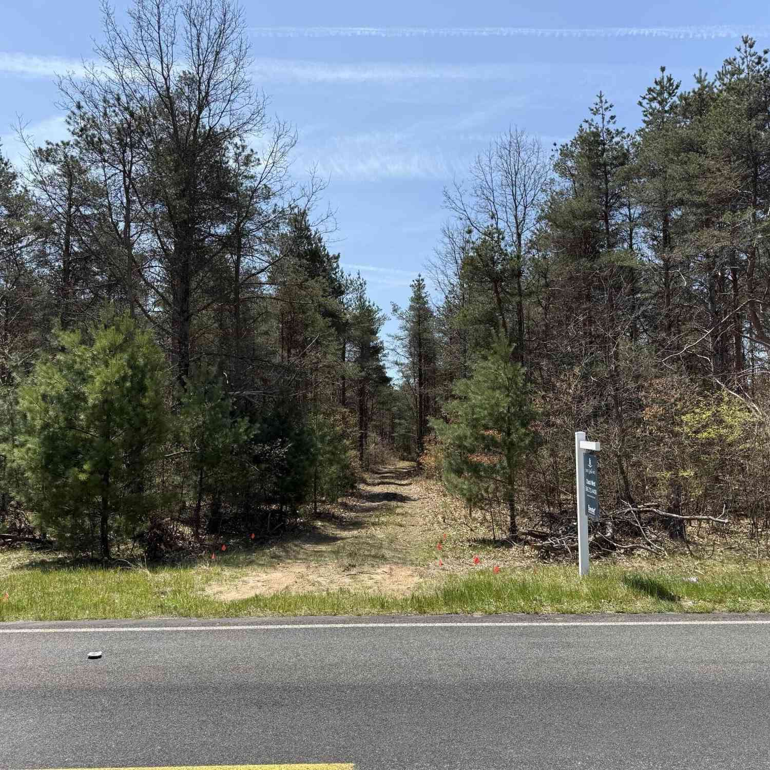 Vacant Land For Sale - VL W Almy Road<br/> Howard City, MI 49329