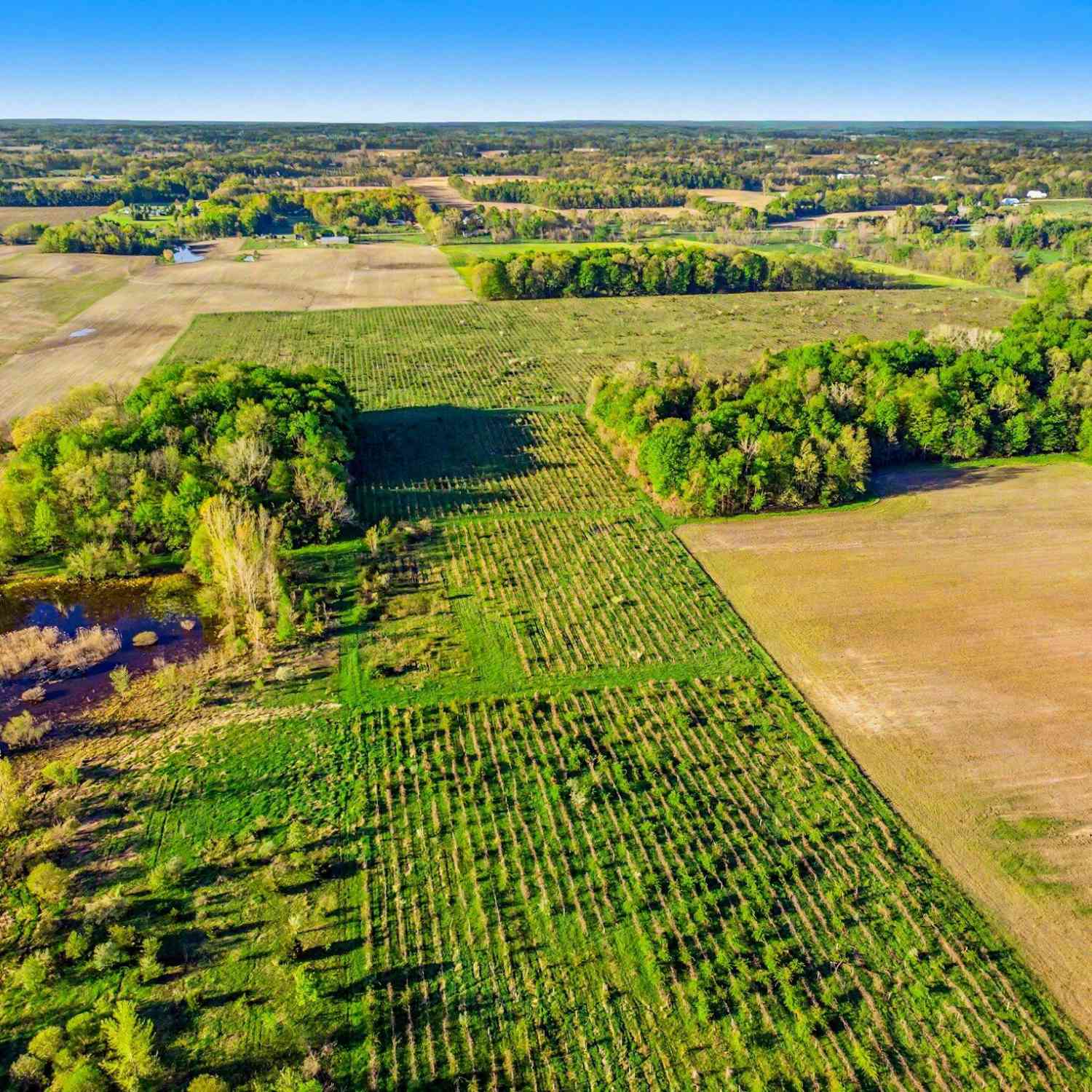 Vacant Land For Sale - V/L E Lemon Creek Road<br/> Berrien Springs, MI 49103