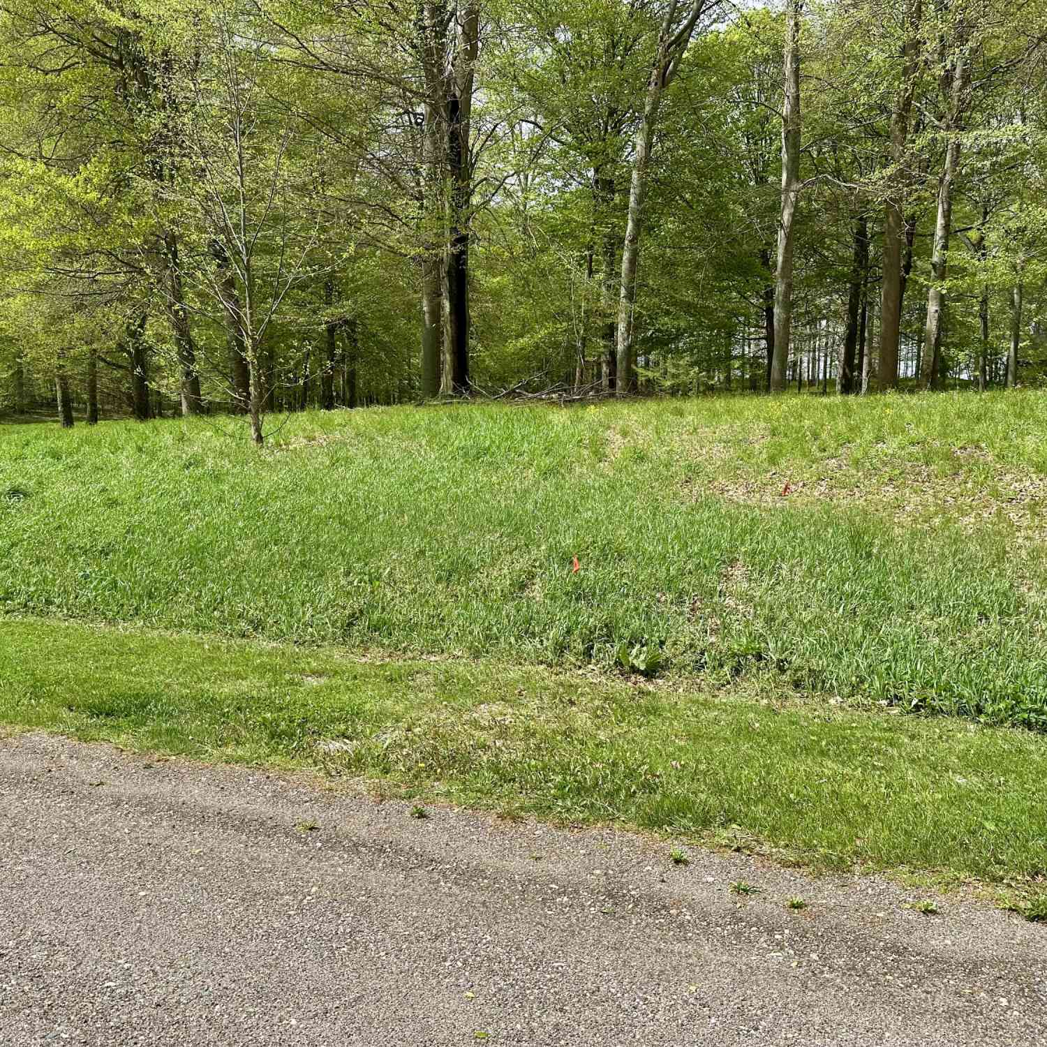 Vacant Land For Sale - 8828 Beechwood Court<br/> Berrien Center, MI 49102