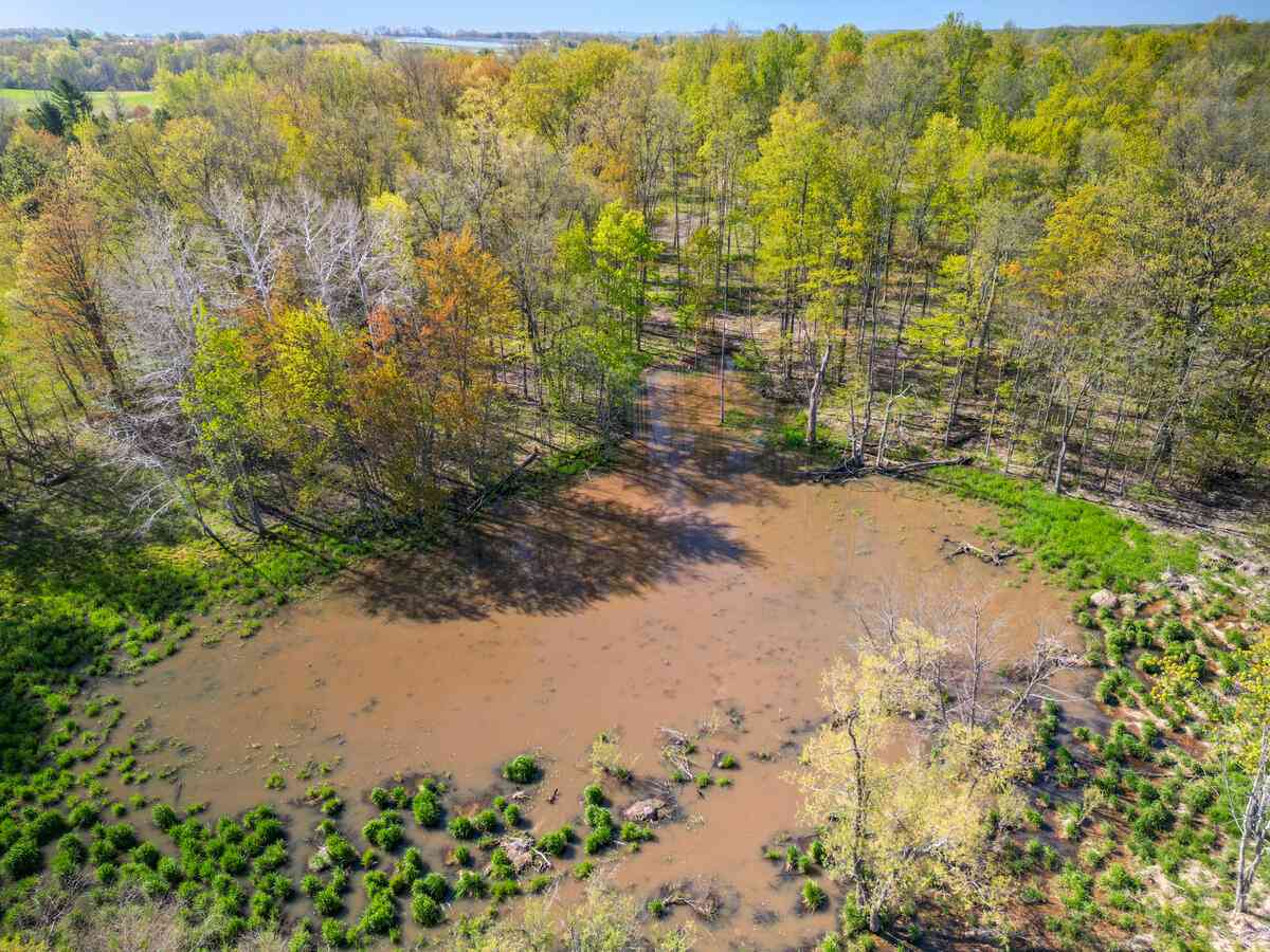 Vacant Land For Sale - 2119 W 116th Street<br/> Grant, MI 49327