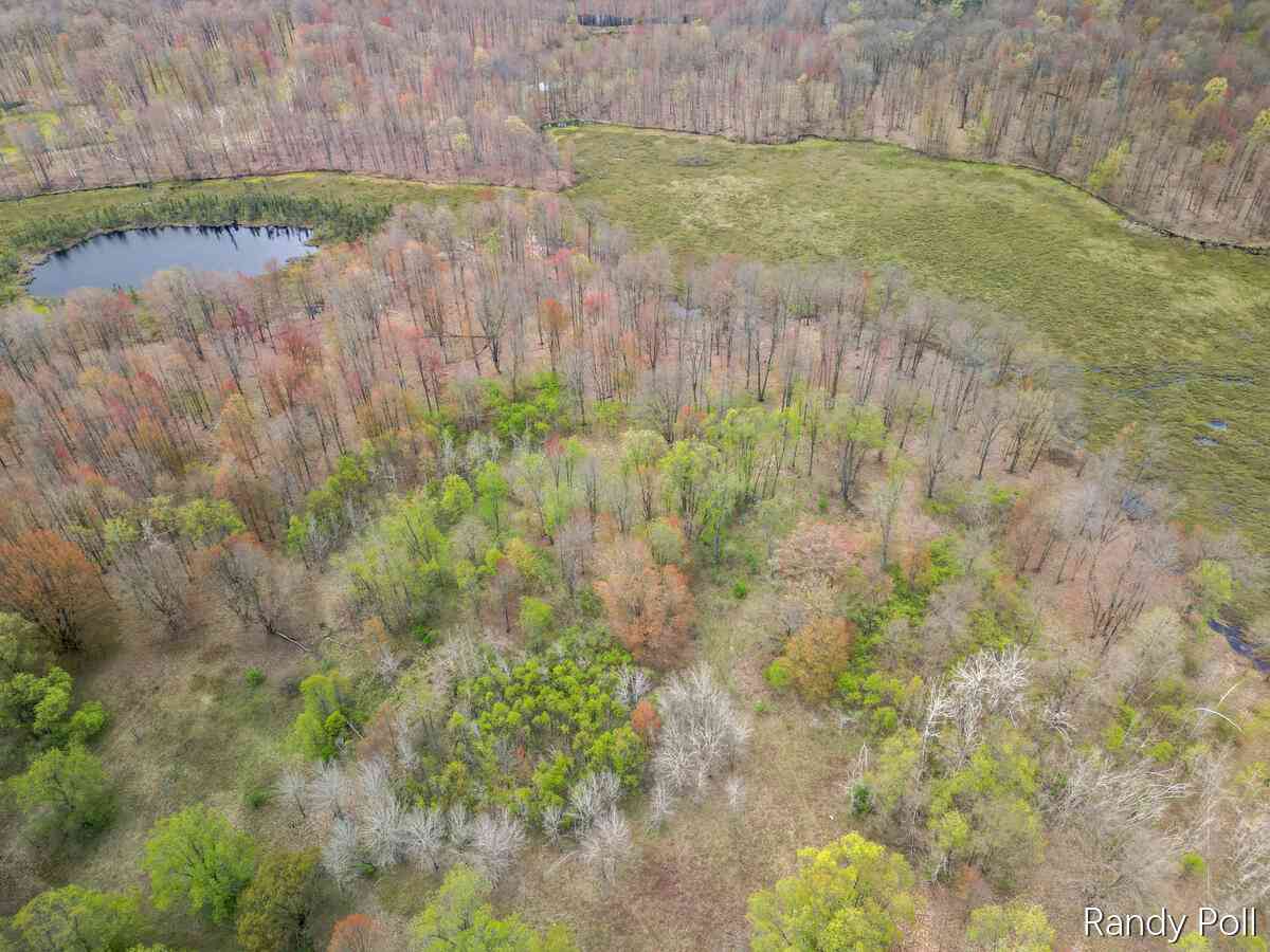 Vacant Land For Sale - 2 Mile Road<br/> Evart, MI 49631