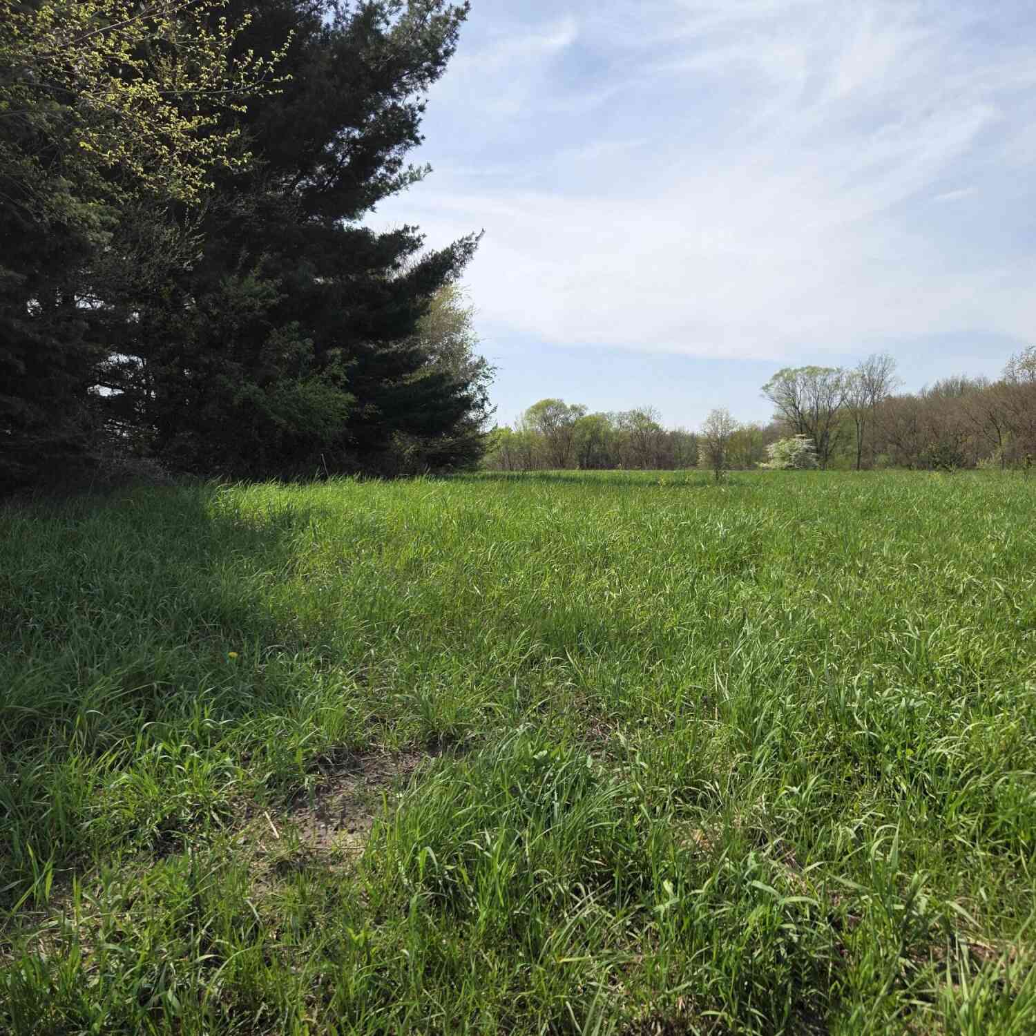 Vacant Land For Sale - V/L 66th<br/> Hartford, MI 49057