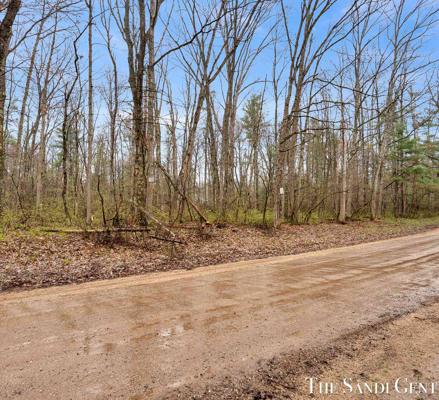 Vacant Land For Sale - 11585 Pond Road #LOT A<br/> Montague, MI 49437