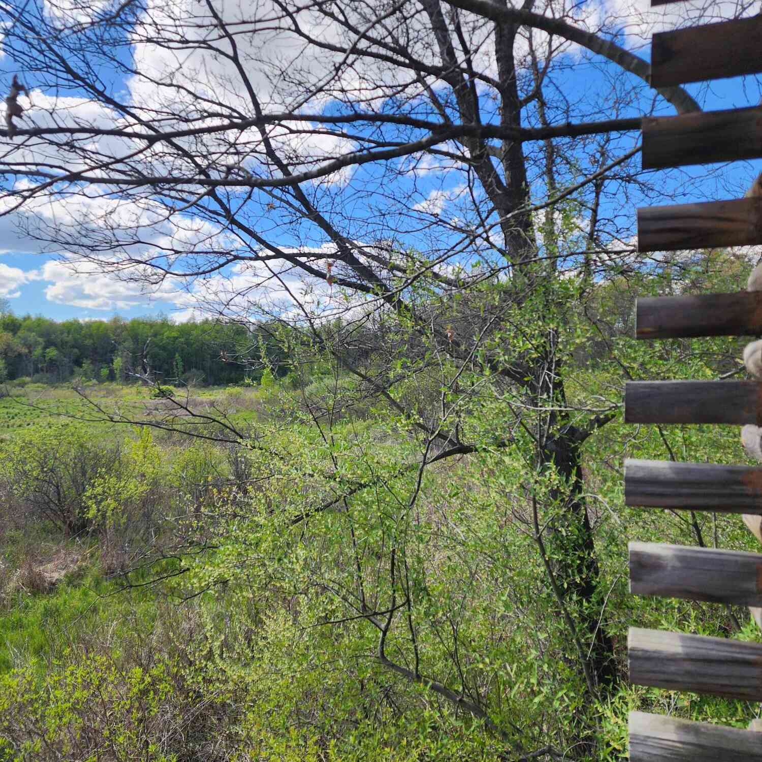 Vacant Land For Sale - 12 Mile Road<br/> Ceresco, MI 49033