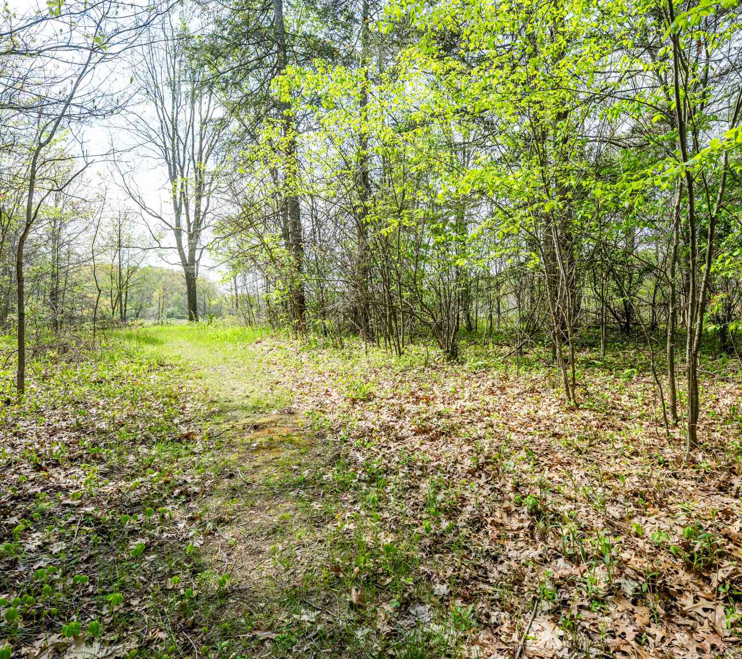 Vacant Land For Sale - 0a Linke Rd Road<br/> Bridgman, MI 49106