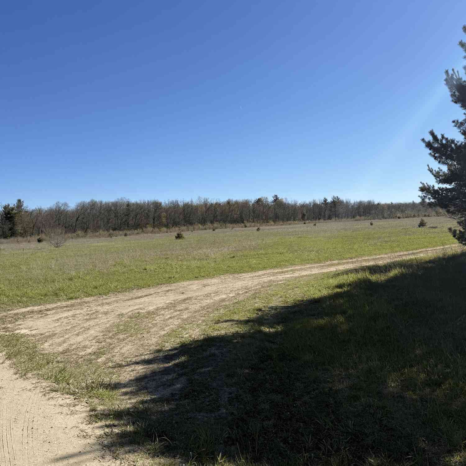 Vacant Land For Sale - N V/l N Dagget Road<br/> Howard City, MI 49329