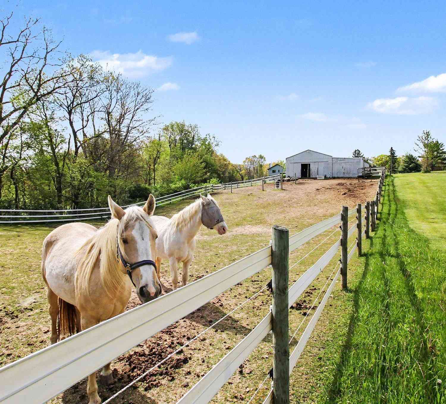 Homes For Sale - 2536 W Coon Lake Road<br/> Howell, MI 48843