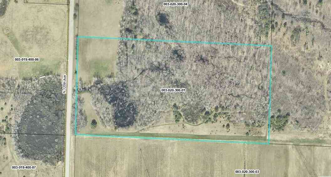 Vacant Land For Sale - V/L 120th Ave<br/> Hart, MI 49420