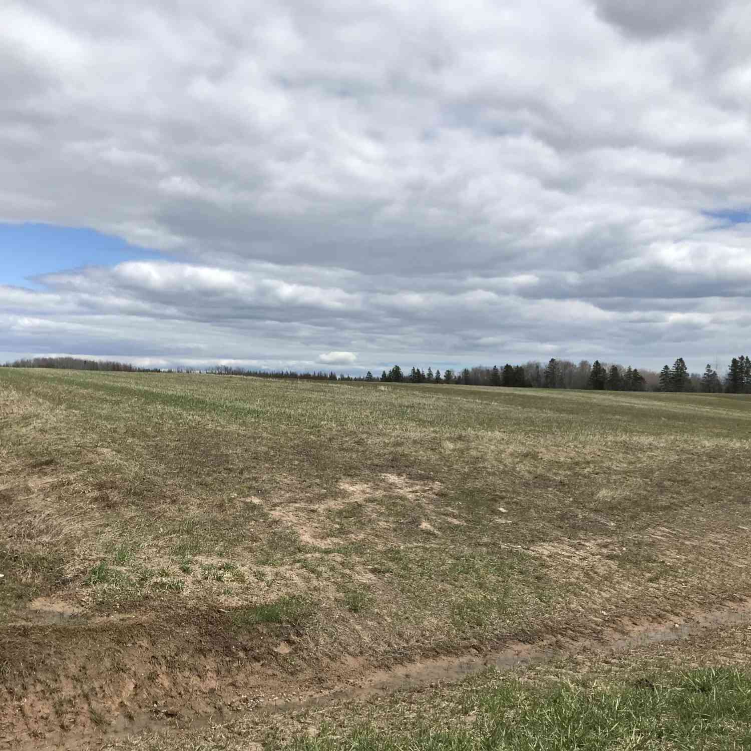 Vacant Land For Sale - 000 S Clegg Road<br/> Pickford, MI 49774