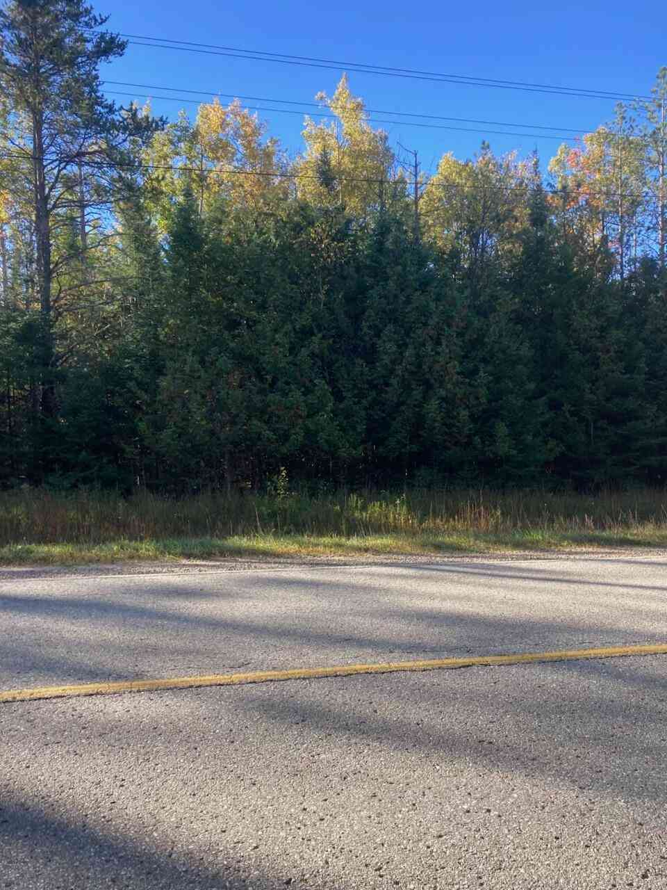 Vacant Land For Sale - 9165 Afton Road<br/> Cheboygan County, Afton, MI 49705