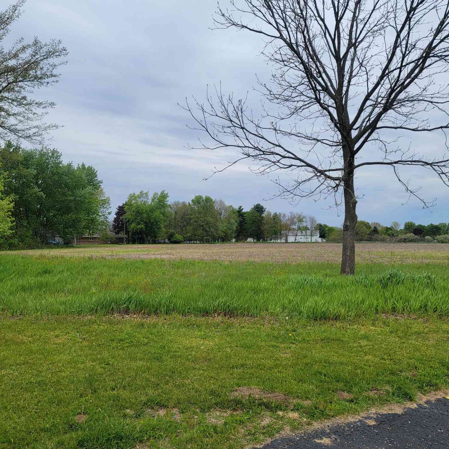Vacant Land For Sale - V/l Fawn River Road<br/> Saint Joseph County, Sturgis, MI 49091