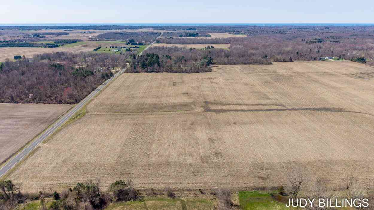 Vacant Land For Sale - 127ave #REMAINDER PARCEL<br/> Fennville, MI 49408