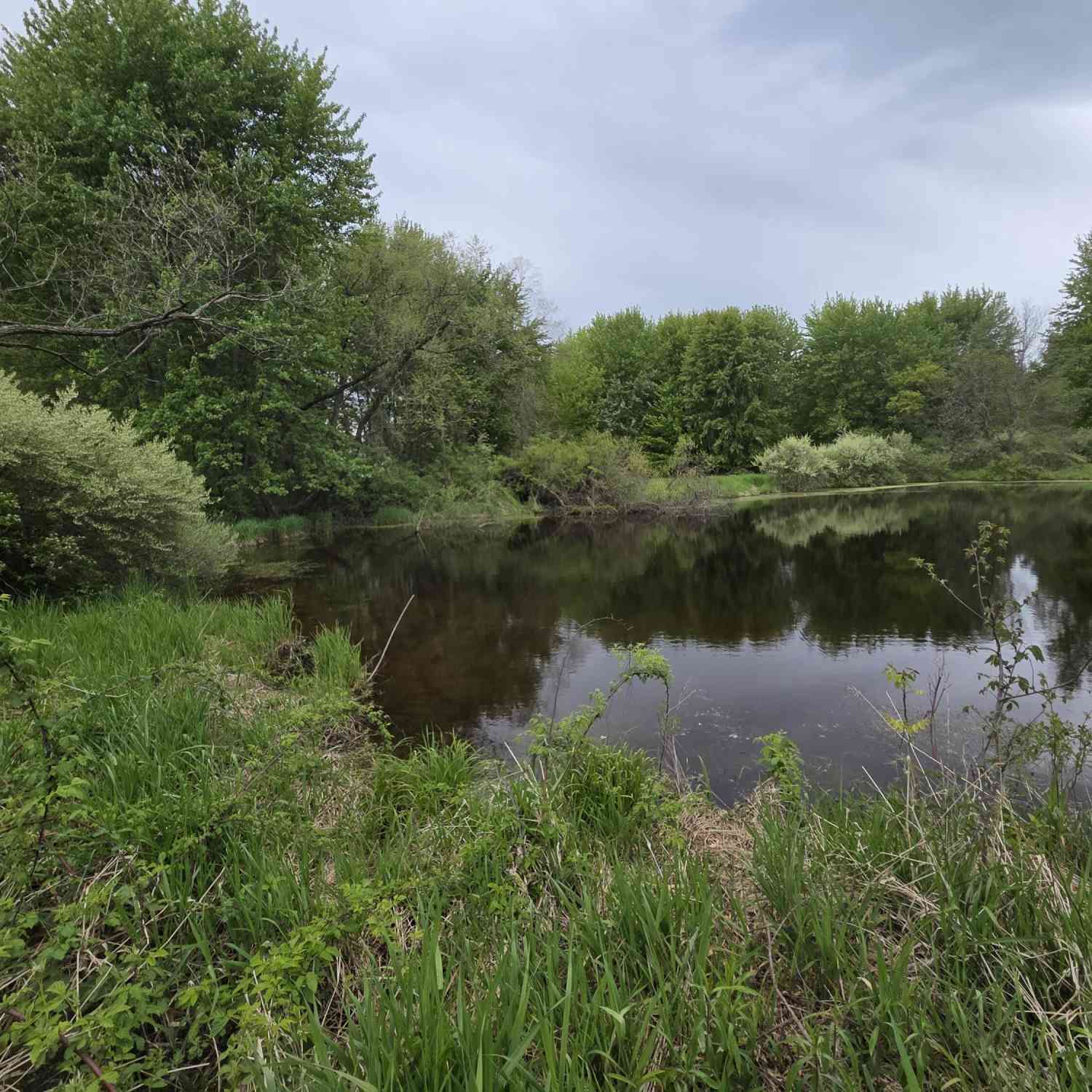 Vacant Land For Sale - V/L Michigan 40<br/> Paw Paw, MI 49079