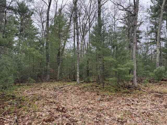 Vacant Land For Sale - VL Freesoil Road<br/> Irons, MI 49644
