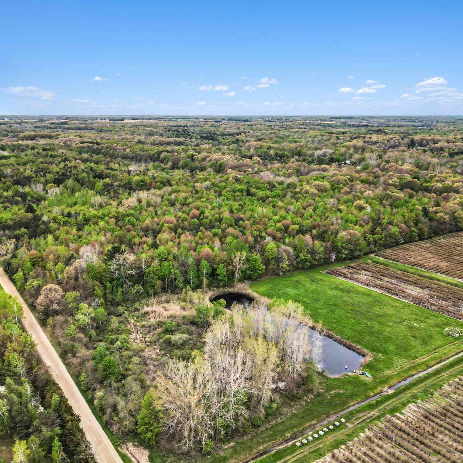 Vacant Land For Sale - 58th Street<br/> Grand Junction, MI 49056