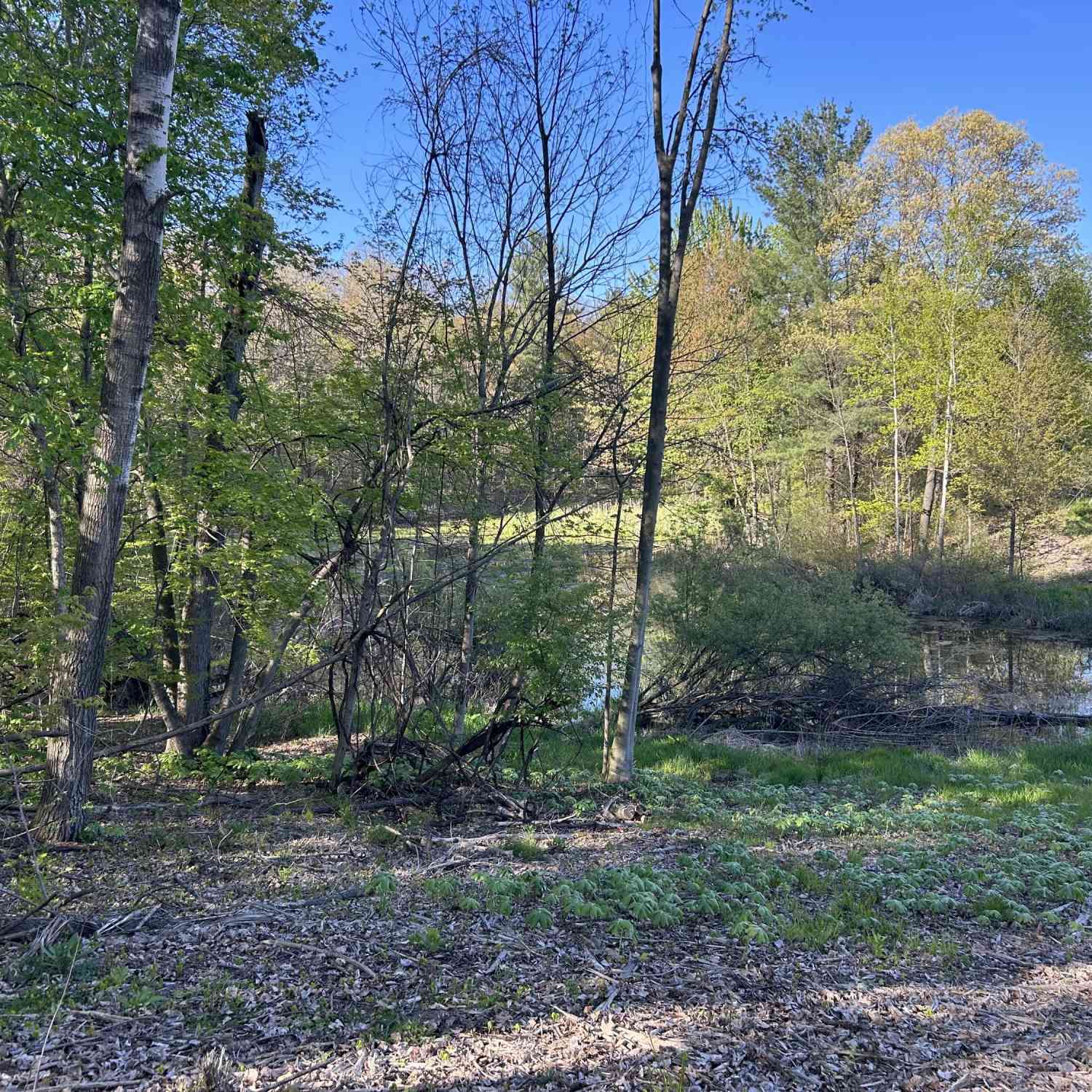 Vacant Land For Sale - E 22 Mile Road<br/> Sand Lake, MI 49343
