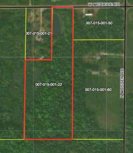 Vacant Land For Sale - V/L Mcbride Road<br/> Stanton, MI 48888