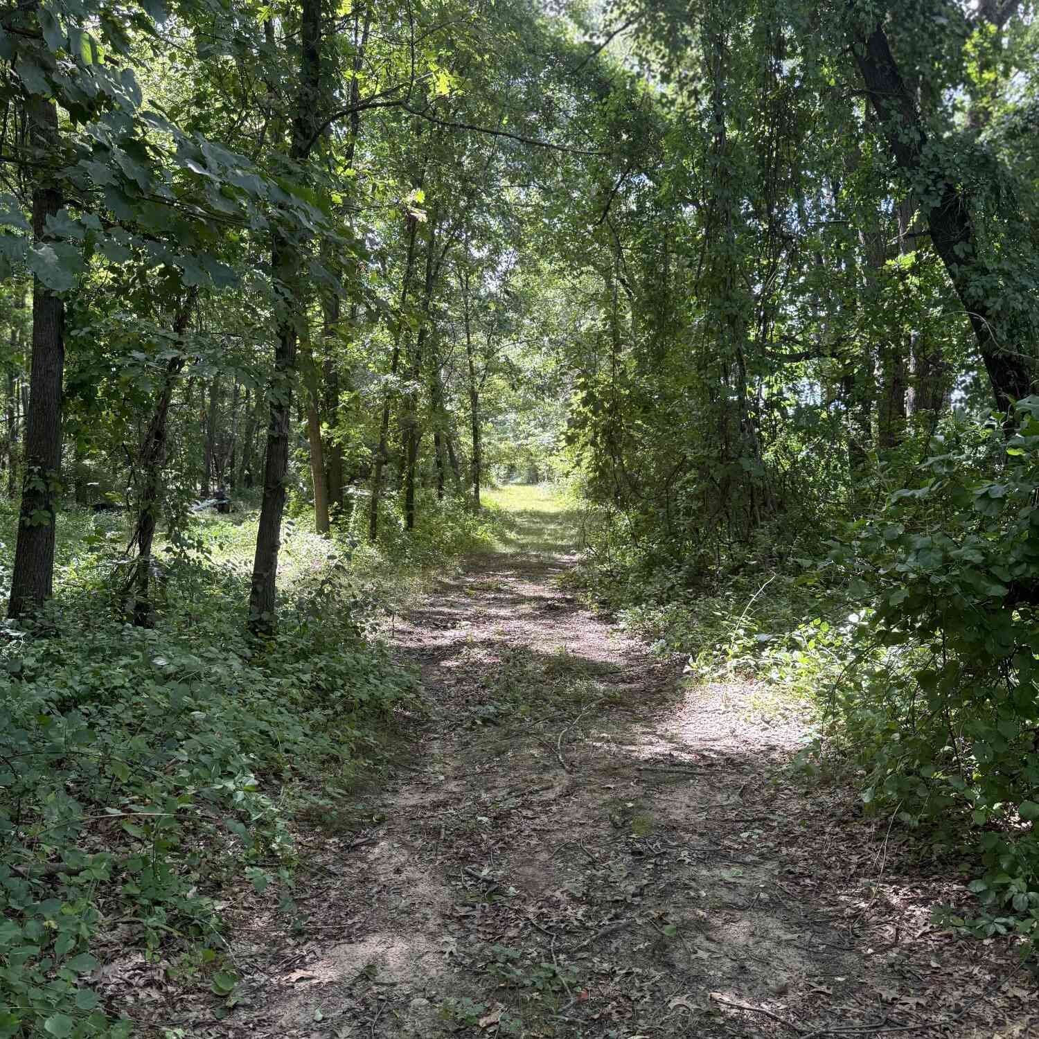 Vacant Land For Sale - VL C Drive<br/> Albion, MI 49224