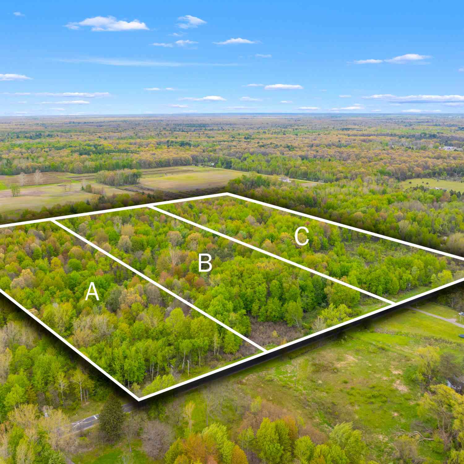 Vacant Land For Sale - V/L 102nd Avenue<br/> Grand Junction, MI 49056