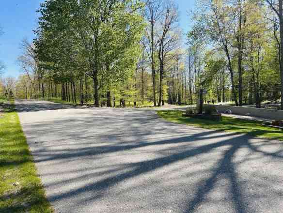 Vacant Land For Sale - 9304 Briarstone Drive #28<br/> Canadian Lakes, MI 49346