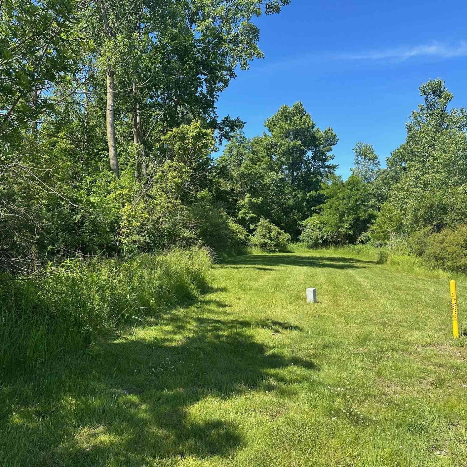 Vacant Land For Sale - 85 Diamond Point Lane<br/> New Buffalo, MI 49117