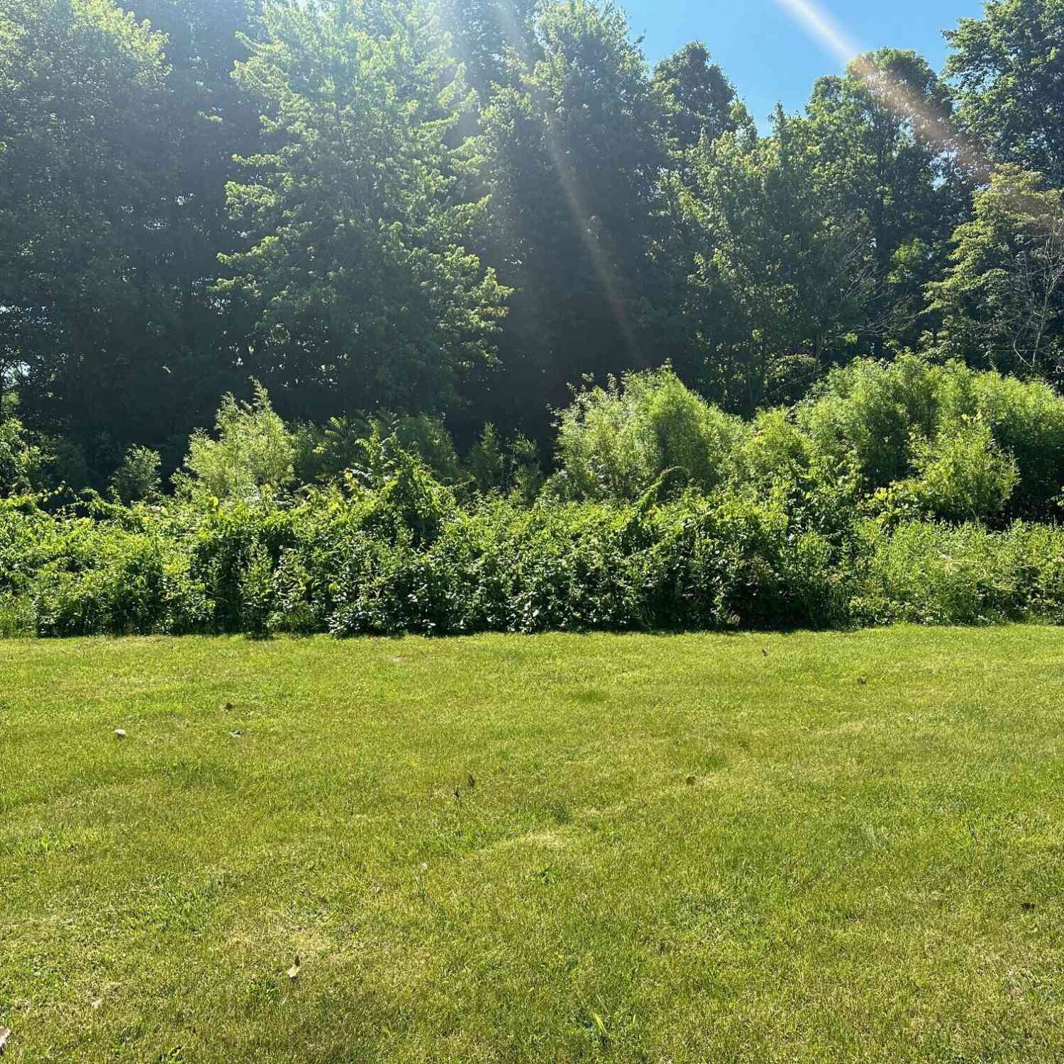 Vacant Land For Sale - 107 Diamond Point Lane<br/> New Buffalo, MI 49117