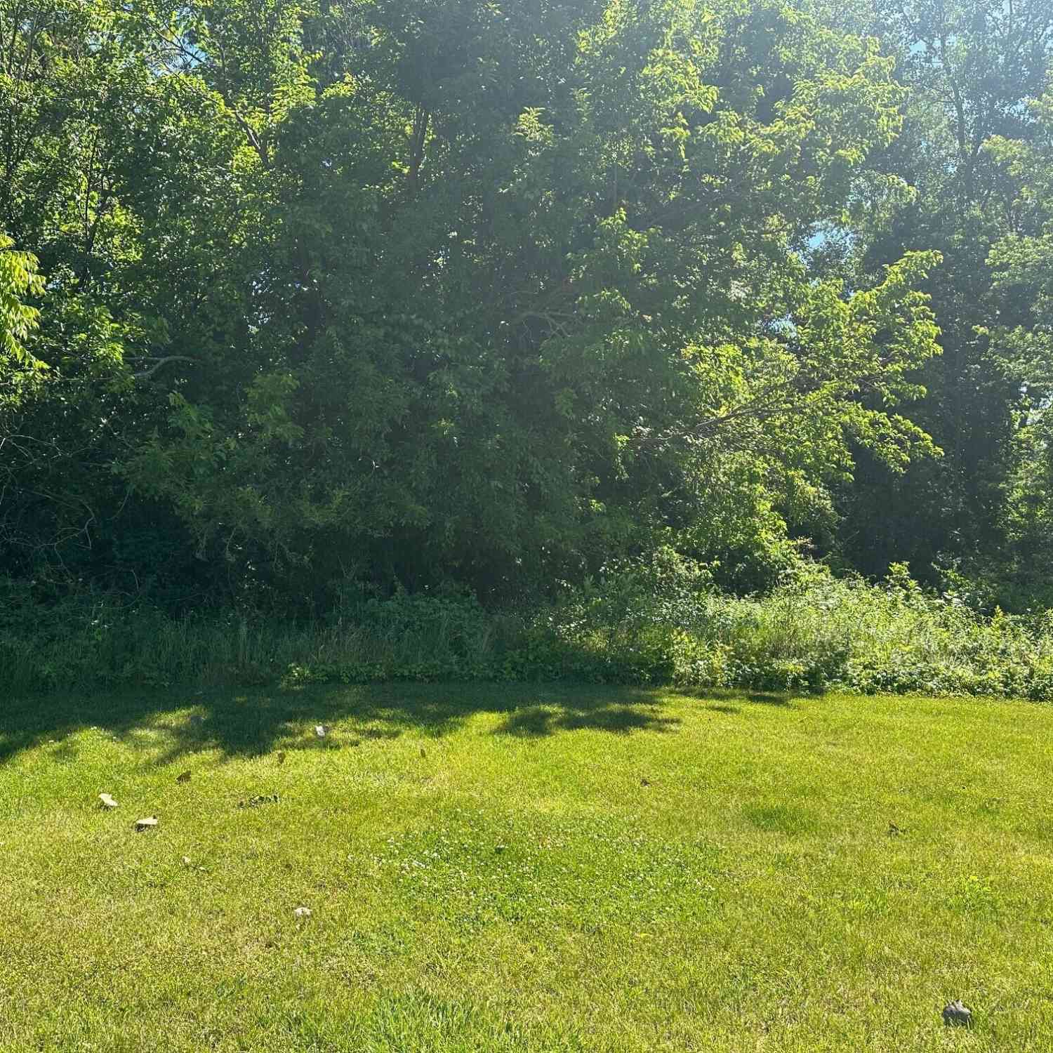 Vacant Land For Sale - 109 Diamond Point Lane<br/> New Buffalo, MI 49117
