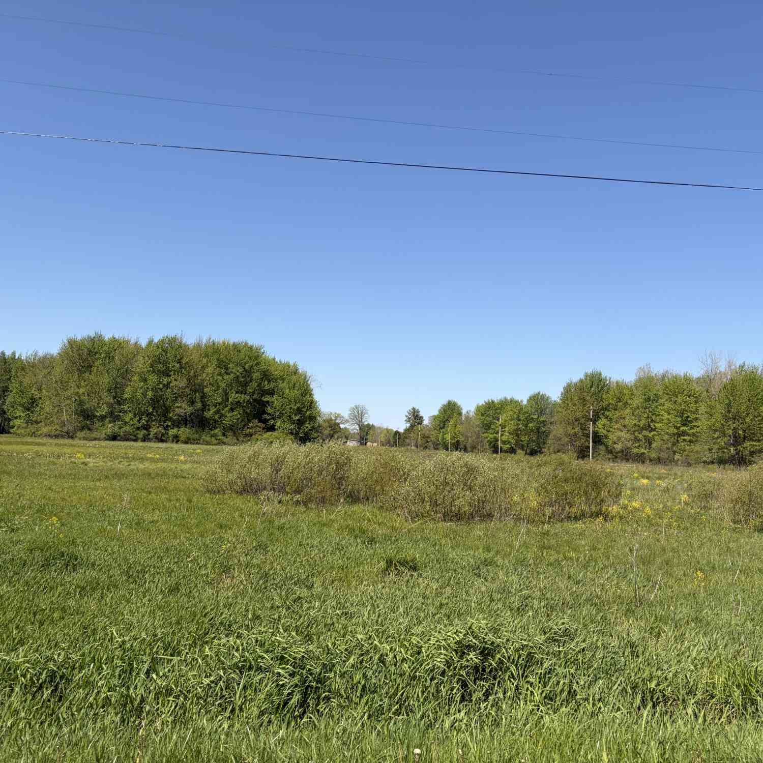 Vacant Land For Sale - 00000 40th Street #PARCEL A<br/> Paw Paw, MI 49079