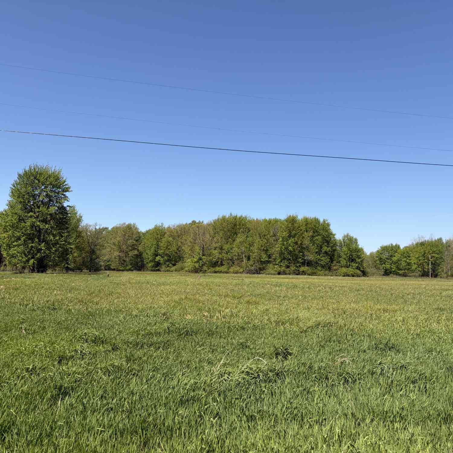 Vacant Land For Sale - 00000 40th Street #PARCEL B<br/> Paw Paw, MI 49079